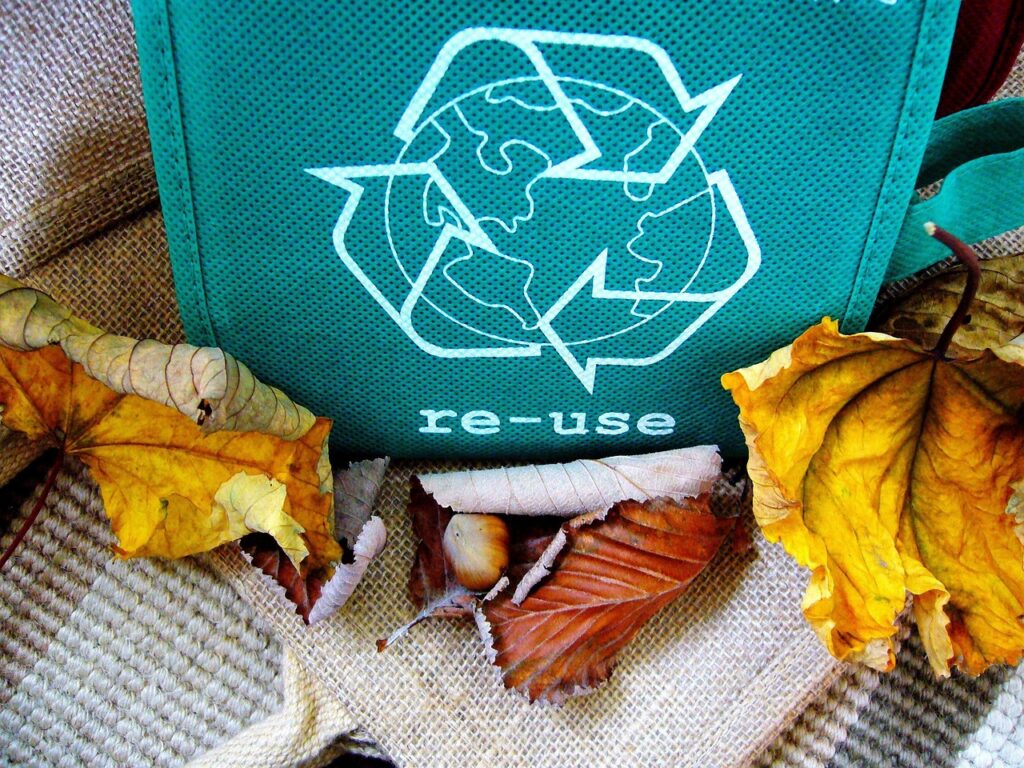 eco-friendly bags